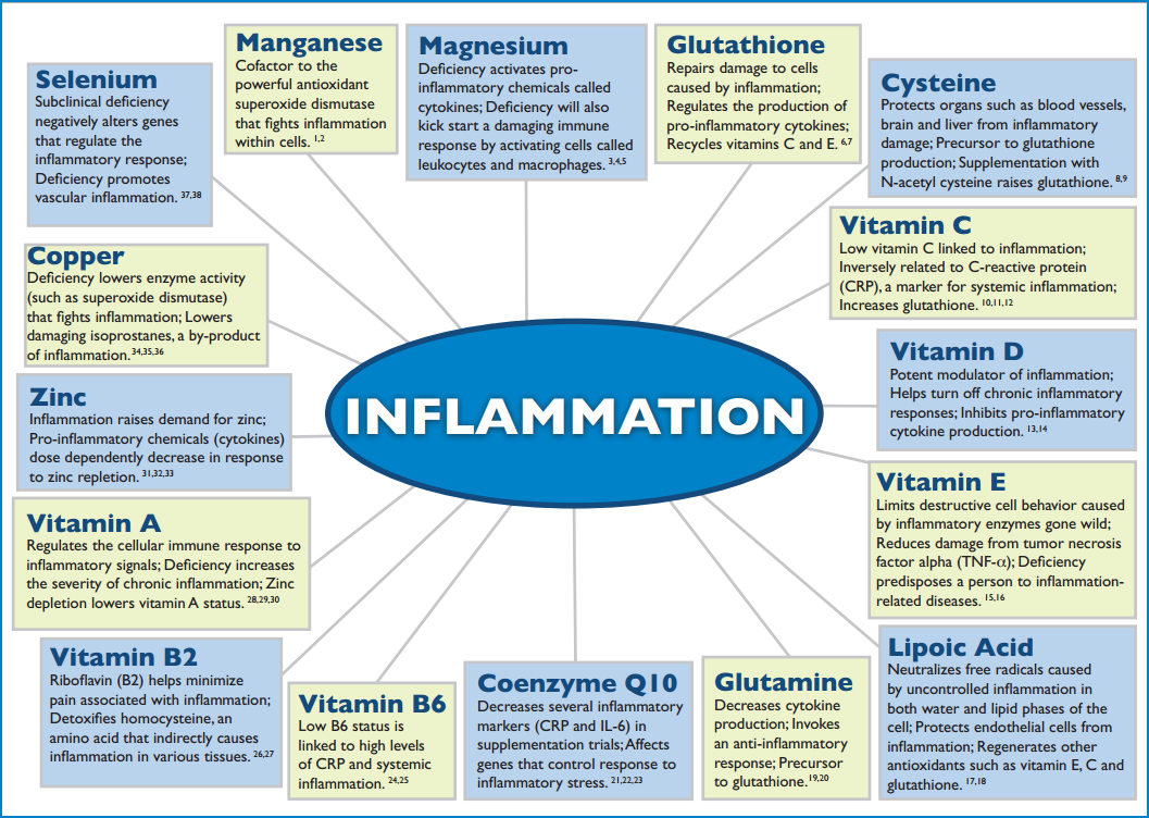 inflammation - infographic